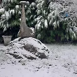 シャレー Casa Tapada Da Branda Monção