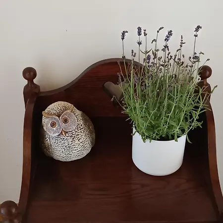 شاليه Casa Tapada Da Branda