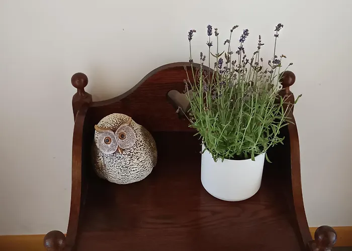 シャレー Casa Tapada Da Branda