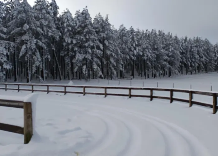 Casa Tapada Da Branda * Monção